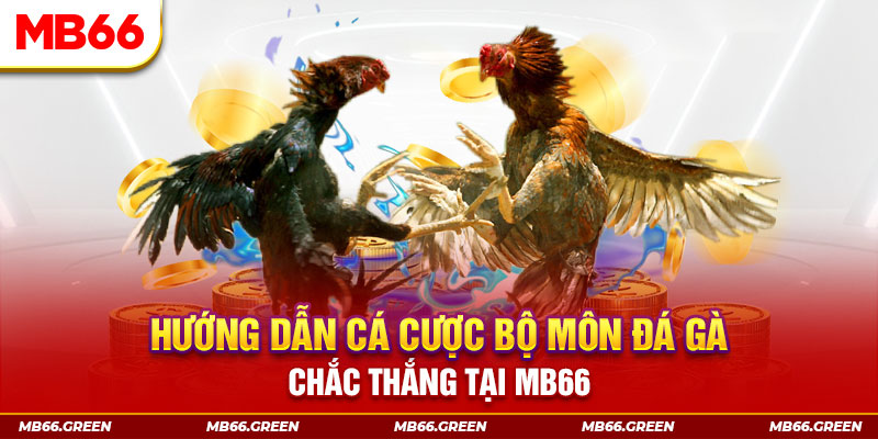 bongdaso 66 CQ9 Điện Tử