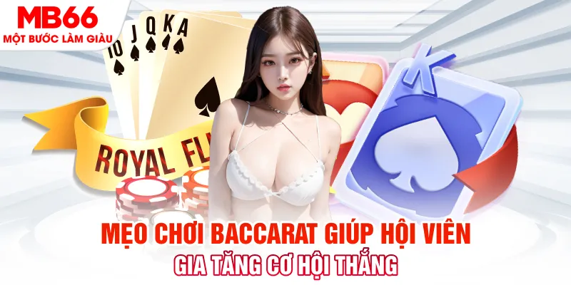bongdaso 66 đá gà 88