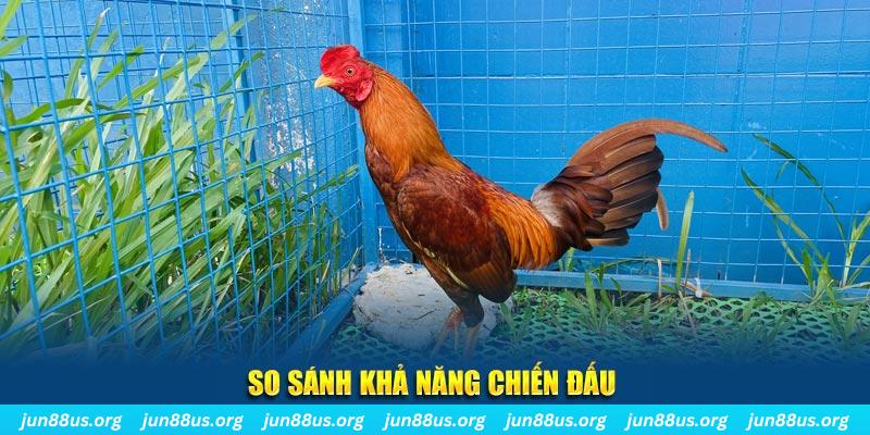 bongdaso 66 xổ số tiền giang