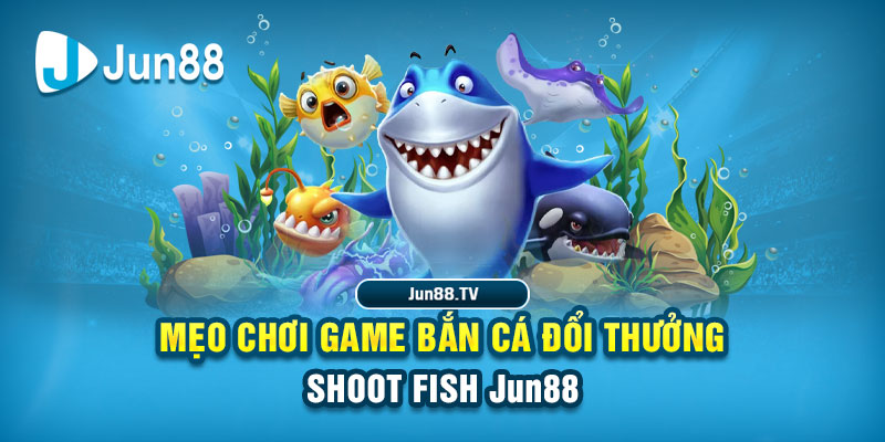 bongdaso 66 tai game danh bai bigkool ve may tinh