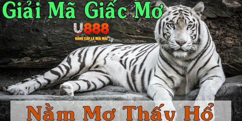 bongdaso 66 xổ số kiến thiết miền bắc