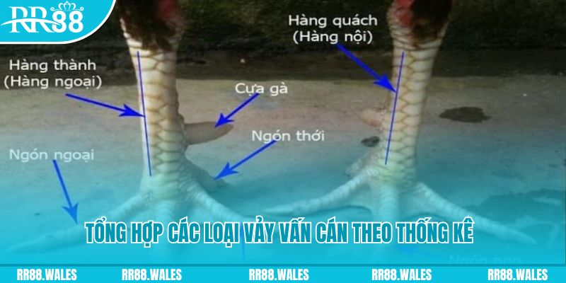 bongdaso 66 nổ hũ chơi như thế nào