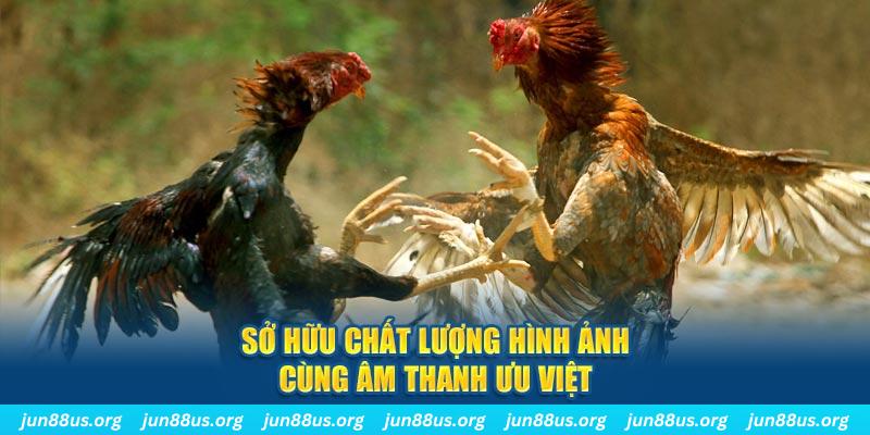 bongdaso 66 tai game danh bai ve may tinh