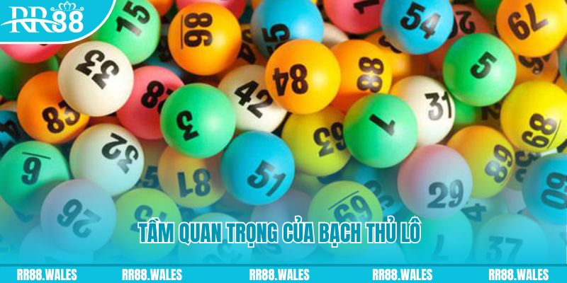 bongdaso 66 đá gà trực tiếp casino