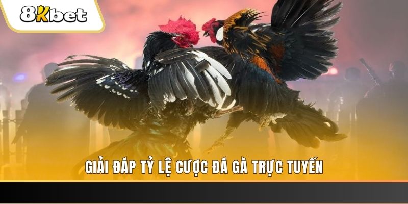 bongdaso 66 xổ số ba đài