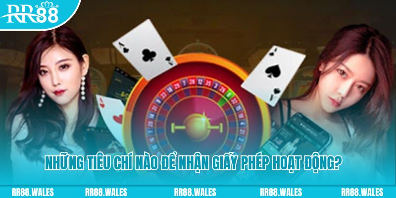 bongdaso 66 casino ở đâu