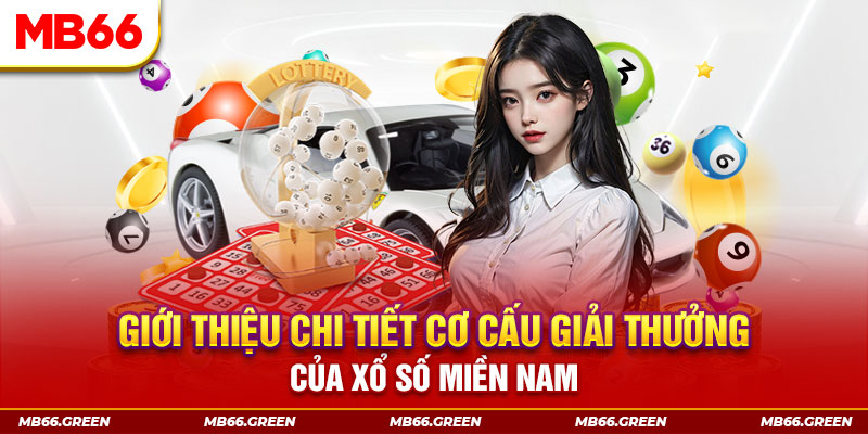 bongdaso 66 PP Điện Tử