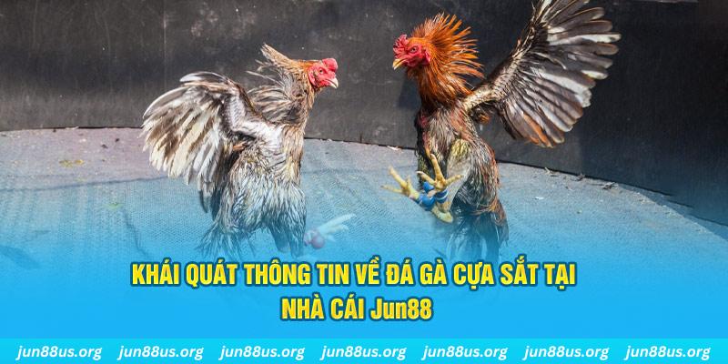 bongdaso 66 game bài trên máy tính