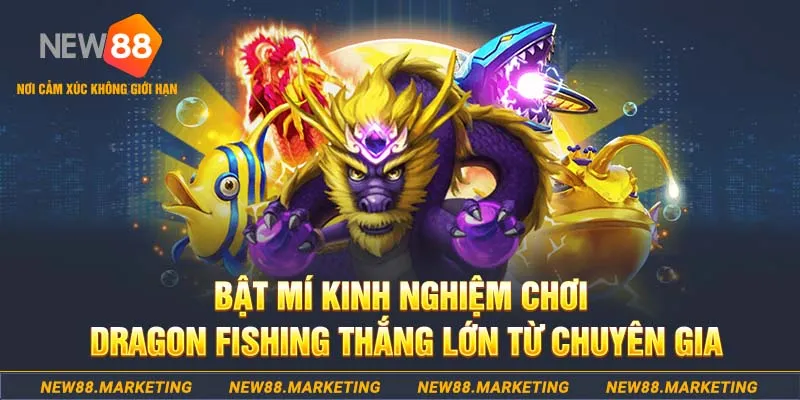 bongdaso 66 who wants to be a millionaire slot