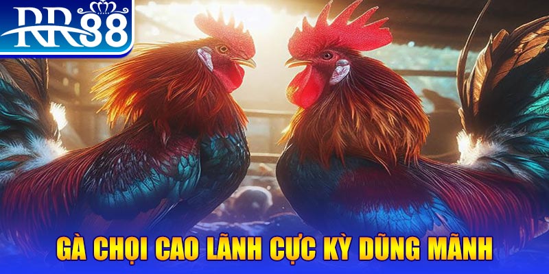 bongdaso 66 natural” trong baccarat nghĩa là gì？