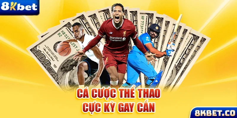 bongdaso 66 Bữa tiệc dành cho thanh thiếu niên